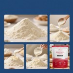 Besica GMP OEM Private Label Vegan Protein Powder Organic Whey Protein Powder BCAA Amino Acid Supplement