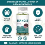 OEM Private Label Organic Sea Moss Capsules 2000mg with Bladderwrack and Burdock Root for Joint Health