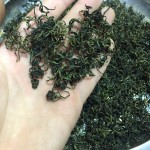 Organic Herbal Detox Tea - Natural Heat Clearing and Swelling Reduction Pure Health Tea for Removing Toxins