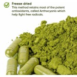 Besica OEM Private Label Organic Matcha Capsules - Natural Energy Boost - 100% Natural Antioxidant - Calm and Relaxation