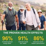 Besica NAD Supplement