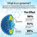 OEM Liposomal NAD Supplement - NAD+ Liquid Drops Resveratrol