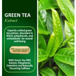 Besica Private Label Green Tea Extract Capsules - Mental Focus