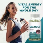 OEM Private Label Organic Sea Moss Capsules 2000mg with Bladderwrack and Burdock Root for Joint Health