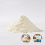 Besica OEM Creatine Monohydrate Powder for Women and Men