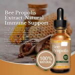 Besica OEM Private Label Propolis Oral Liquid Immune Booster Supplement Drops Propolis Liquid