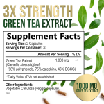 OEM/ODM 1000mg Green Tea Capsules Cognitive Support Brain Health Supplement Standardized Extract 60 Caps Herbal Supplement