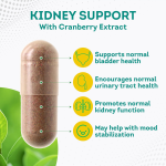 OEM/ODM Cranberry Extract Capsules | Kidney Support & Detox | Natural UTI Prevention & Bladder Health