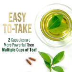 OEM/ODM 1000mg Green Tea Capsules Cognitive Support Brain Health Supplement Standardized Extract 60 Caps Herbal Supplement