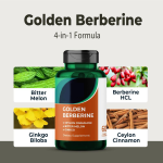 OEM/ODM Berberine HCL & Ceylon Cinnamon Capsules for Metabolic Balance Bulk Wholesale & Custom Formulation