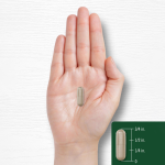 OEM/ODM Ginseng & Ginkgo Biloba Capsules | Peak Energy Blend | Natural Boost & OEM Private Label