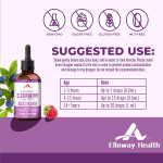 OEM/ODM Pure Elderberry Liquid Drops | Immune Support | Daily Wellness Herbal Extract