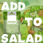 Bulk Organic Aloe Vera Powder (454g) | Custom Packaging | 100% Natural Extract