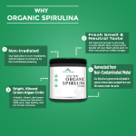 Organic Spirulina Powder Premium Nutrition Supplement