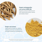 Ashwagandha KSM-66 Organic Capsules - Herbal Brain Support & Relaxation Supplement Organic Herbal Formula Custom Bulk