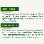 OEM/ODM Valerian Root Herbal Tea | Adult Sleep Support Dietary Supplement | Private Label Relaxation Tea