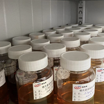 L67 Lubricant Additive Supplier - Dinonyl Diphenylamine Antioxidant