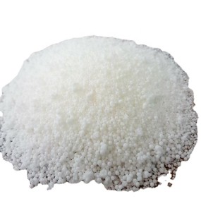 Carnauba Wax Manufacturer for Candles - Powdery Palm Wax