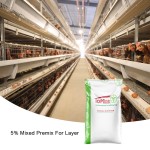 Pig Reproduction Enhancer Supplier - Rumen Immunity & Intestinal Health