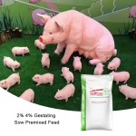 Pig Feed Additives Manufacturer - Growth & Fattening with Vitamin E