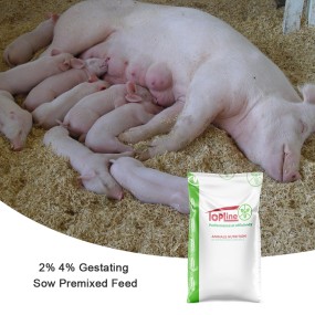 Pig Growth Supplement Factory - Vitamin E Multivitamins Soluble