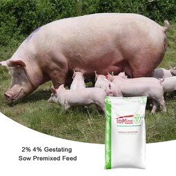 Pig Feed Additives Supplier - Ganglu Huinong Growth Booster