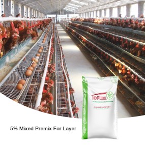 Pig Reproduction Enhancer Supplier - Rumen Immunity & Intestinal Health