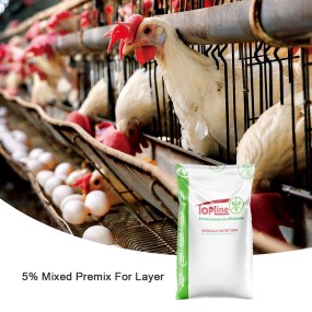 Poultry Feed Additives Supplier - For Reproduction & Intestinal Health