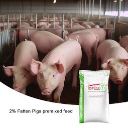 Pig Growth Feed Additive Manufacturer - Vitamin E Enzyme Soluble
