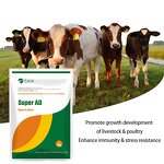 Poultry Feed Additives Manufacturer - Vitamin AD Premix for Layers