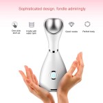 USB电动面部加湿器与纳米技术美容个人护理保湿面部蒸笼酒店使用美国插头
