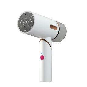 工厂直接高品质手持熨烫机便携式家用小蒸汽熨烫机家用电器