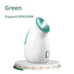 Portable Electric Multifunction Spa Machine ABS Material Mist Humidifier Facial Steamer for Home Travel Skin Care Auspicious