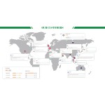 Rosemary Hydrosol Supplier - 100% Organic Customized