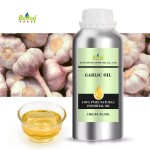 Garlic Essential Oil Manufacturer - Organic for Pharmaceutical