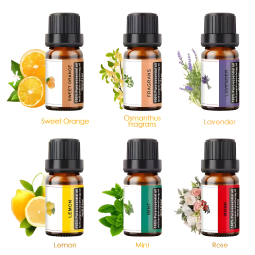 Aromatic Diffuser Oil Factory - 10ml-100ml Custom Size