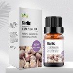 Garlic Essential Oil Manufacturer - Organic for Pharmaceutical