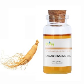 Panax Ginseng Oil Supplier - with Ginger for Hair Care