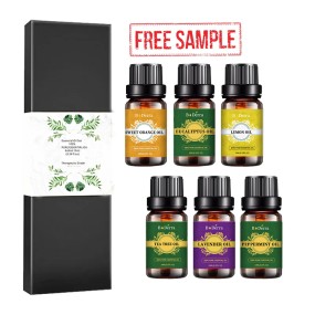 Essential Oil Set Supplier - 6 Pack 10ml Aromatherapy