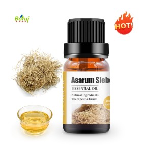 Asarum Oil Supplier - Chinese Herbal for Hair Care