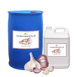 Garlic Essential Oil Manufacturer - Organic for Pharmaceutical