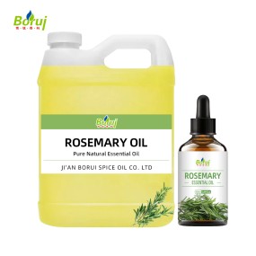 Rosemary Essential Oil Manufacturer - Steam Distilled Organic