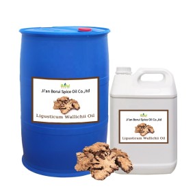 Chuanxiong Rhizome Oil Supplier - Extracted Liquid Medicine