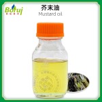 Mustard Seed Oil Supplier - High-Pure for Hair Care