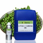 Litsea Cubeba Essential Oil Factory - Organic with Natural Aroma