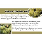 Litsea Cubeba Essential Oil Factory - Organic with Natural Aroma