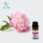Peony Essential Oil Manufacturer - Multipurpose Natural Oil