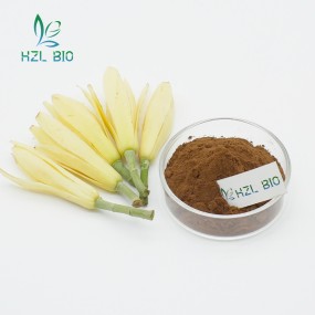 Magnolia Alba Extract Factory - Echinacoside Phenylethanoid Glycoside