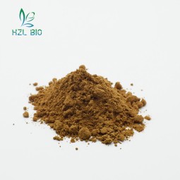 Yucca Extract Factory - 30%-60% Leaf Powder Direct Sale