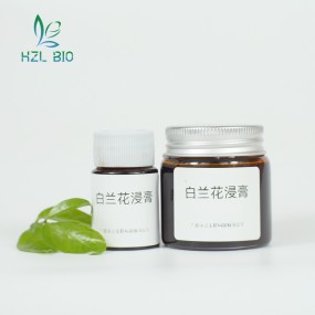 Michelia Alba Extractum Manufacturer - High Verbascoside Food Grade